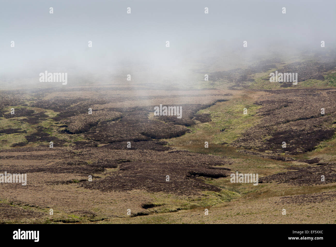 Low cloud rolling in on boggy peat moorland, North Yorkshire, UK Stock Photo