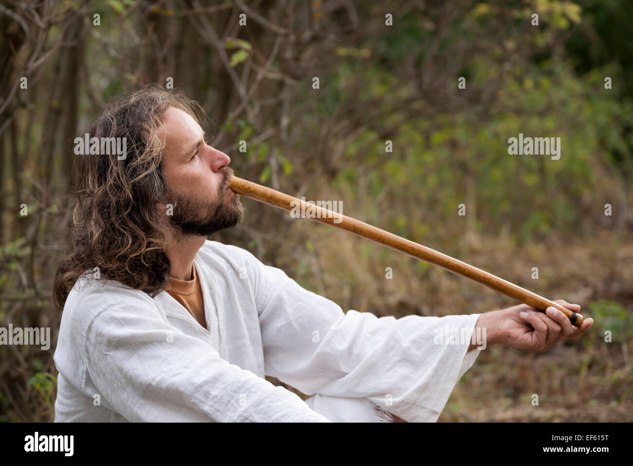 The flute tree deals