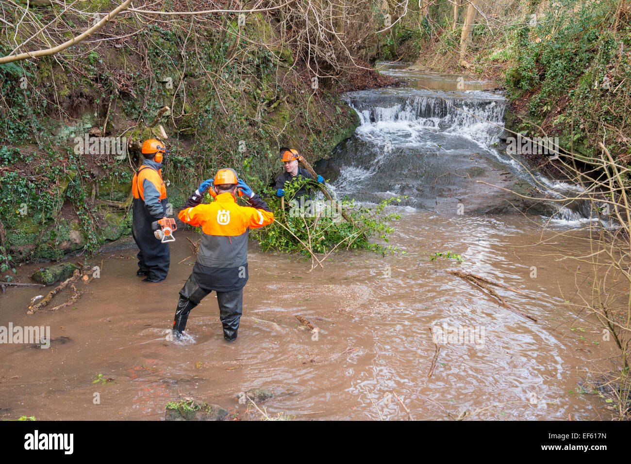 Environment Agency workers carry out maintenance work on the Wesley Brook in Shifnal, Shropshire, England. Stock Photo