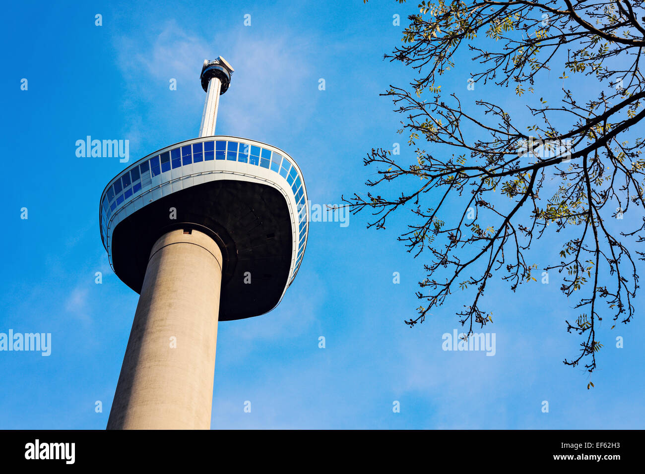 Euromast in Rotterdam Stock Photo