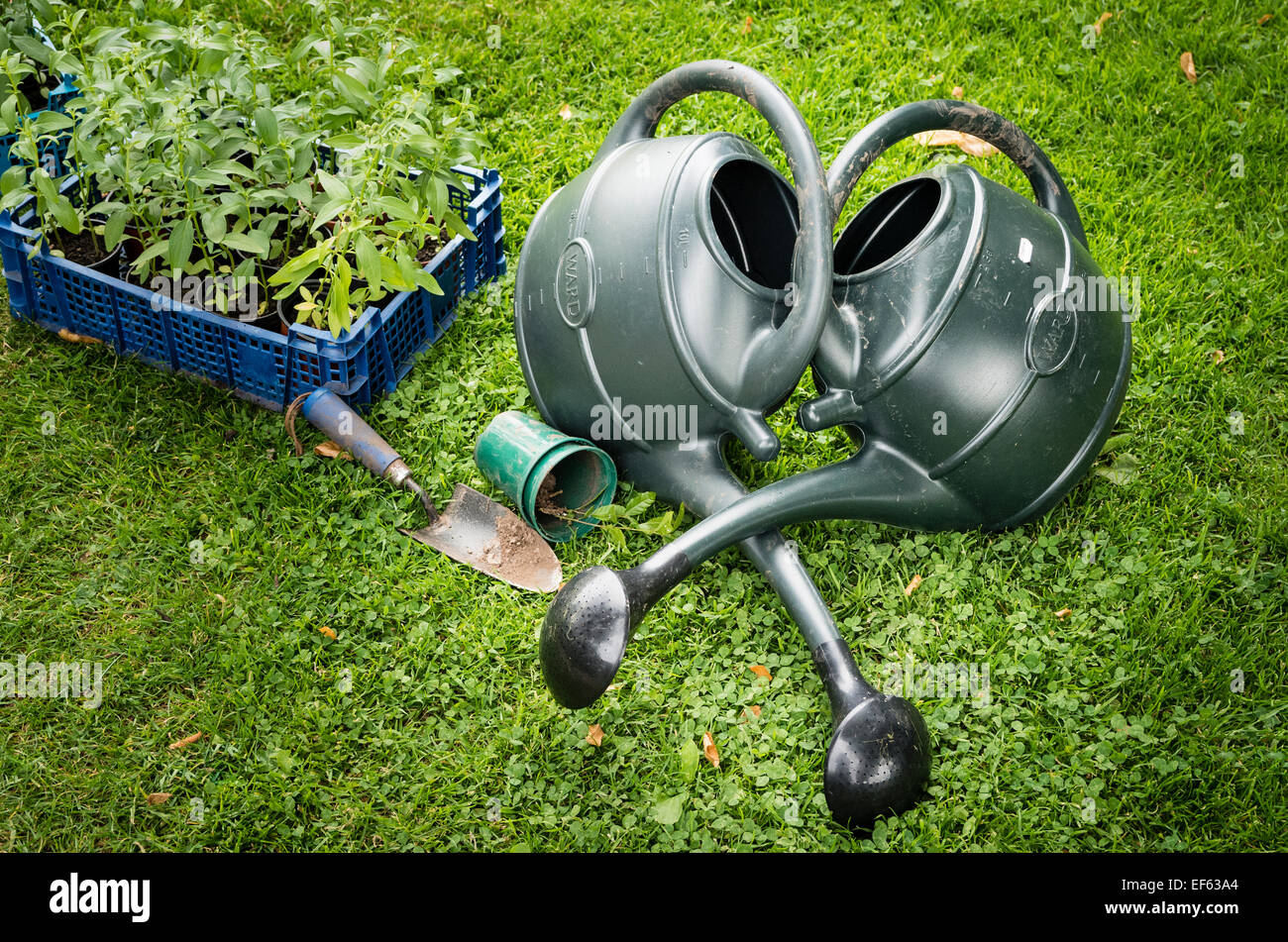Two watering cans 'at rest' during a gardeners' lunch break Stock Photo