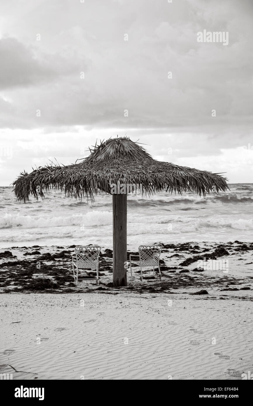Black and white photo of a palapa on the beach on Harbour Island Stock Photo