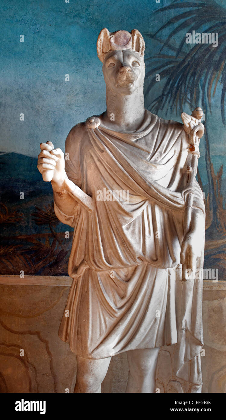 Egyptian god Anubis , lord of mummification, who guided the dead to the underworld; holding the Caduceus Of Hermes in his right hand   (showing the attributes of the Greek god Hermes, with whom he was identified). In the Vatican Museums, Vatican City Stock Photo