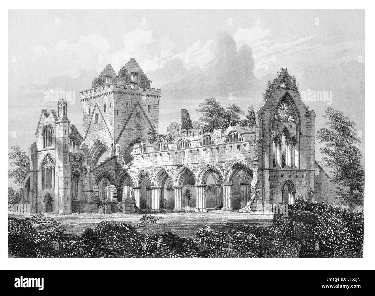 1852 New Cistercian Sweetheart Abbey  Dumfries and Galloway ruin ruined Stock Photo
