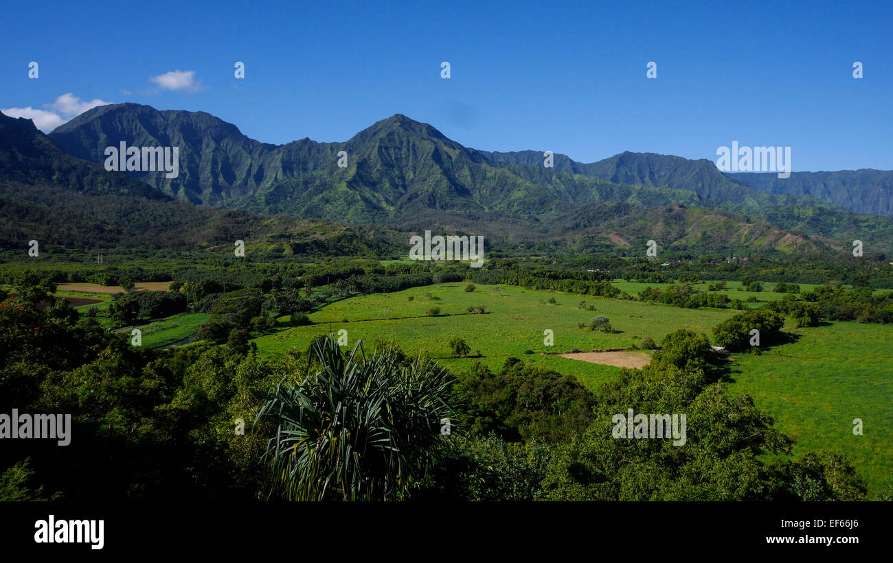 Taro Field, Hanalei Valley, lookout, Kauai, Hawaii Stock Photo Alamy