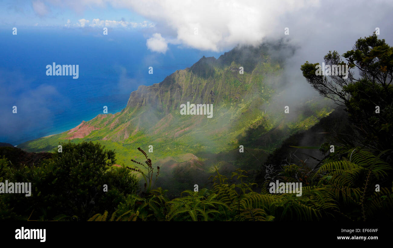 Kalalau Lookout, Kokee State Park, Kauai, Hawaii Stock Photo Alamy