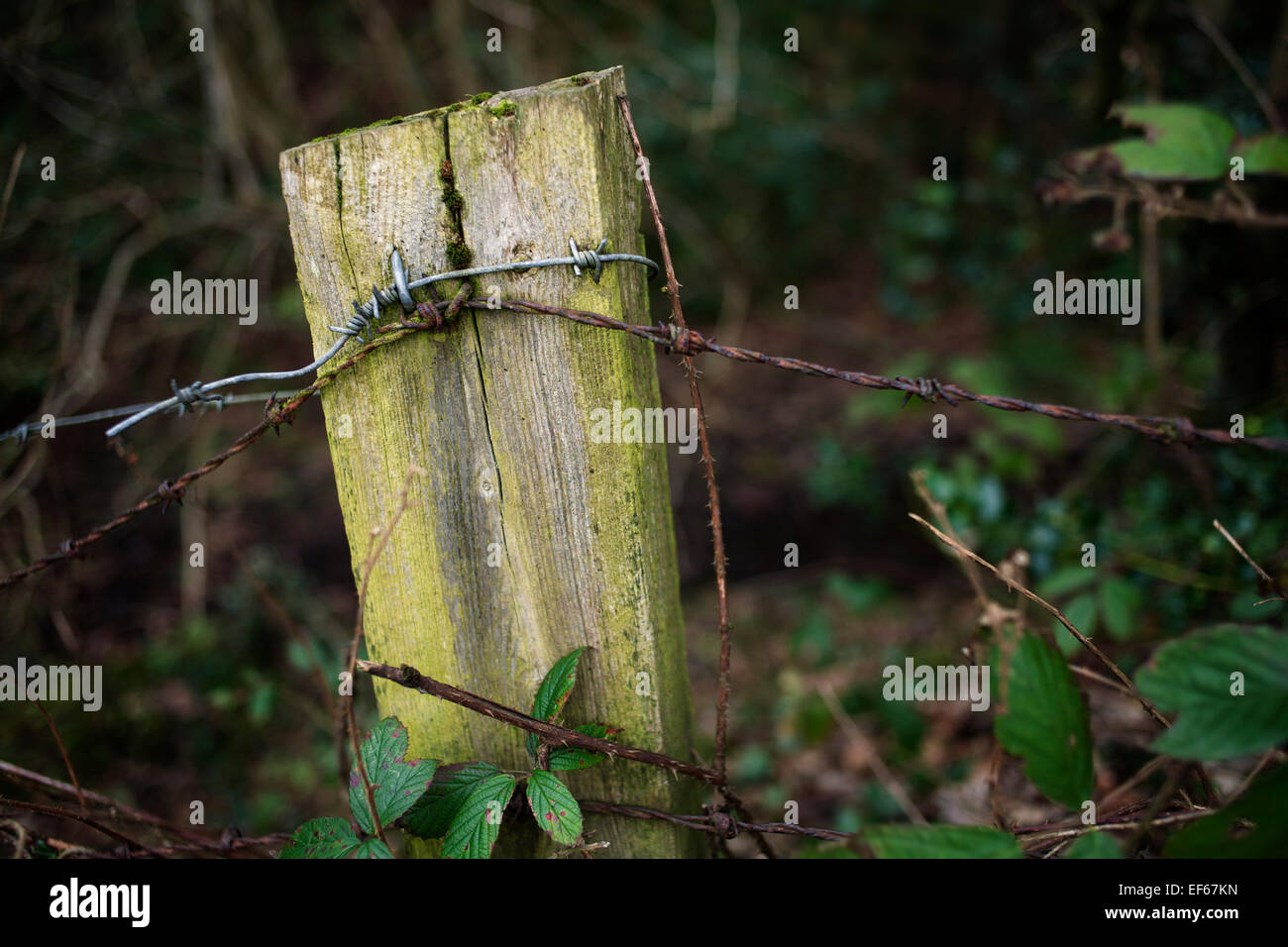 Old fence post hi-res stock photography and images - Alamy