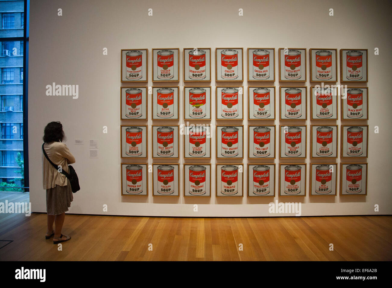 Campbell's soup cans, 1962, painting by Andy Warhol, MOMA, museum of modern art, New York, USA, America Stock Photo
