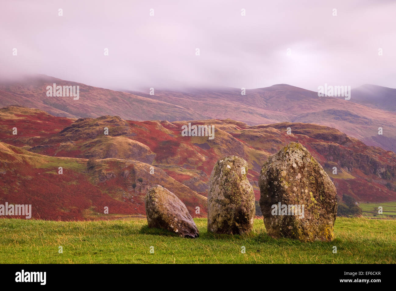 Timeless circle hi-res stock photography and images - Alamy