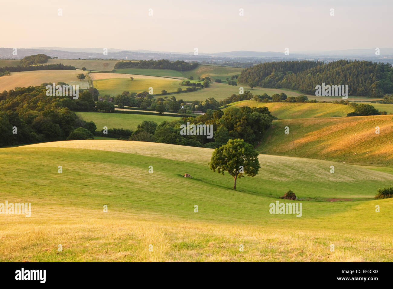 rural countryside scene Stock Photo