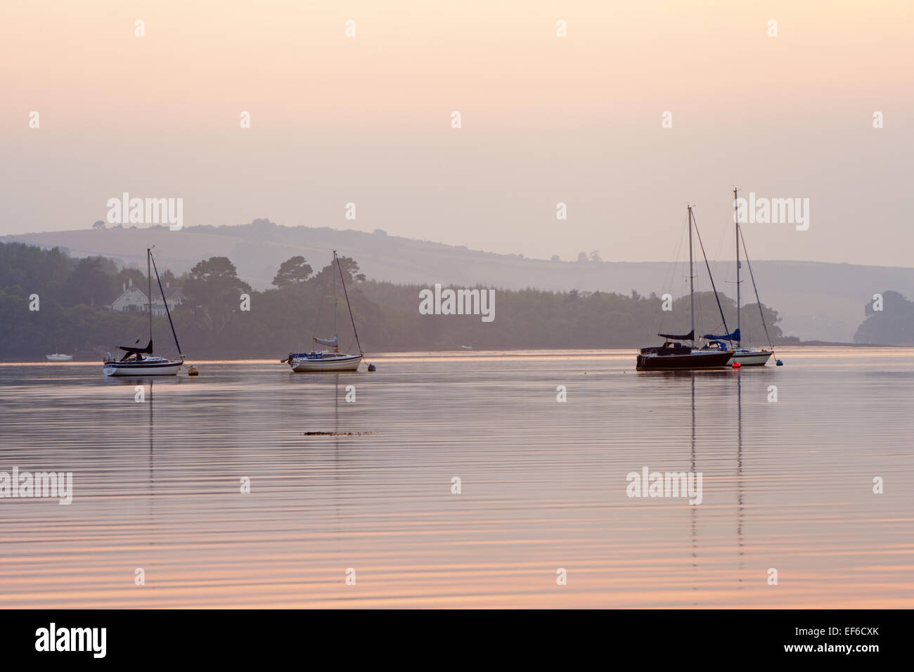 galmpton creek on the river dart Stock Photo Alamy