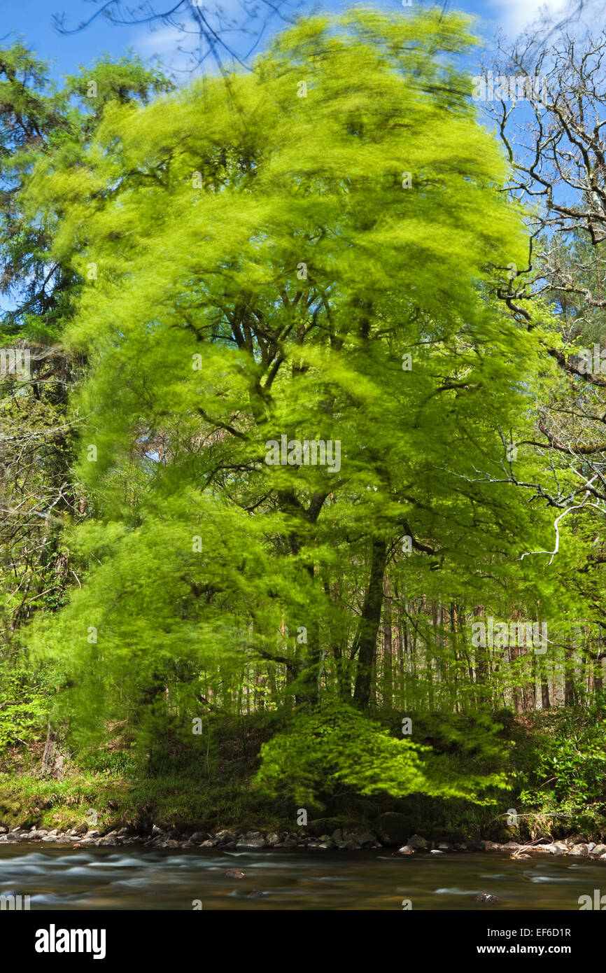 Spring is upon us hires stock photography and images Alamy