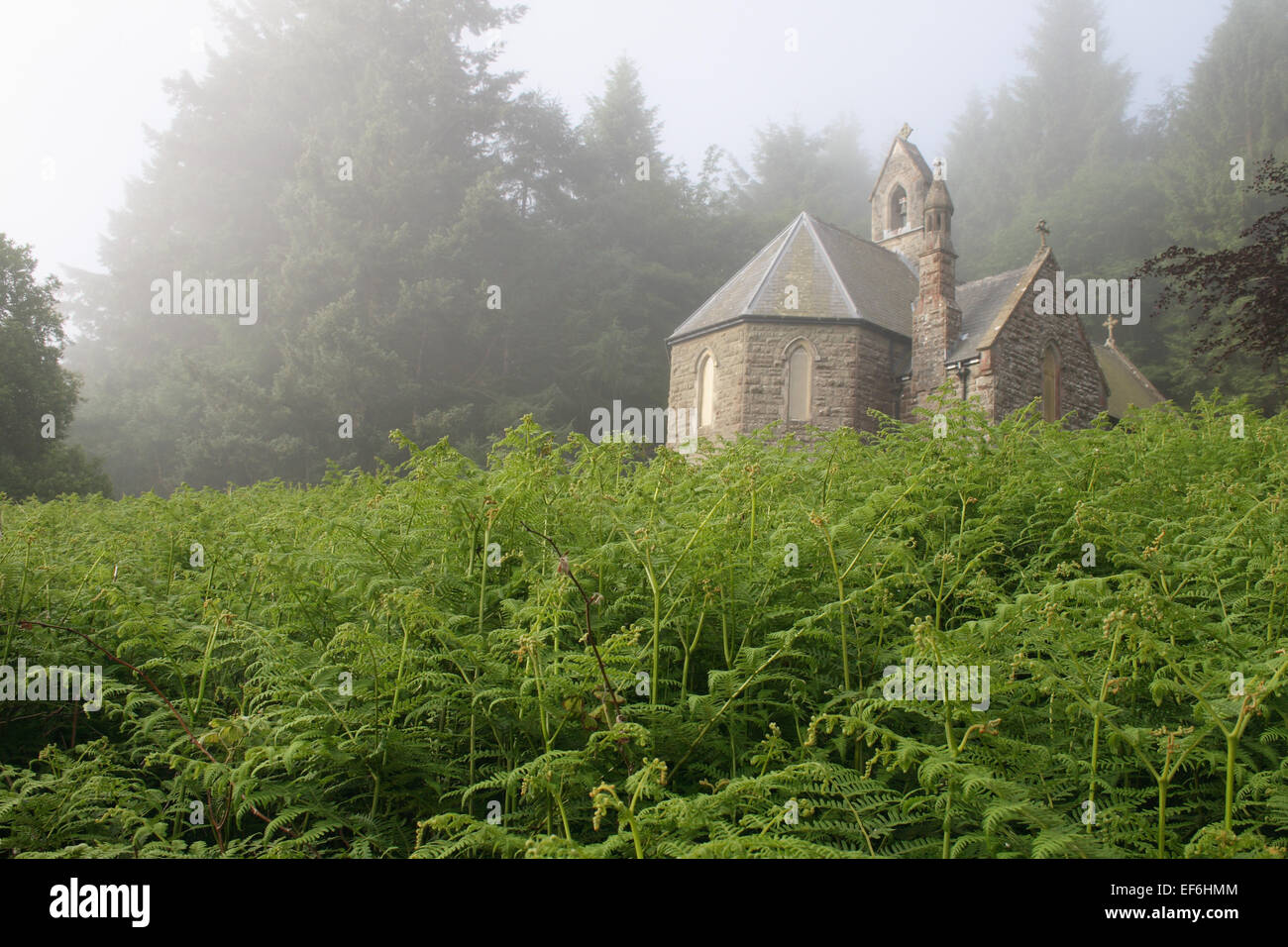 House at Elan Valley Wales on Hillside Stock Photo Alamy
