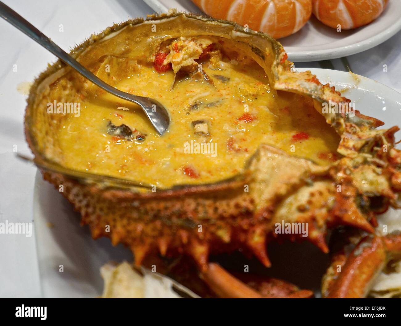 Spider Crab Cooked