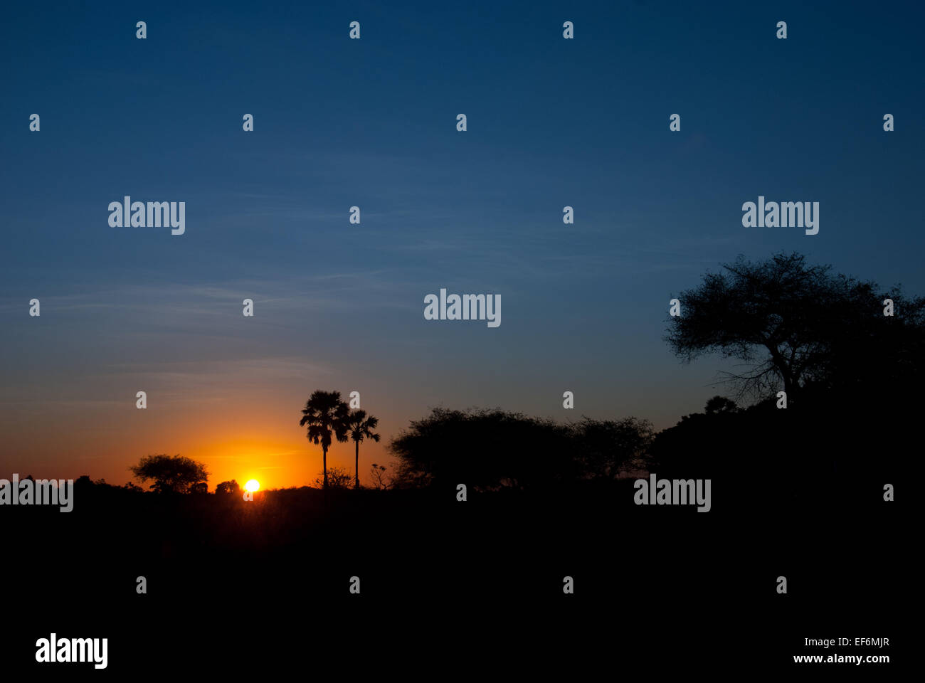 Sunset on dry, tropical landscape during dry season in Rote Island, East Nusa Tenggara, Indonesia. Stock Photo