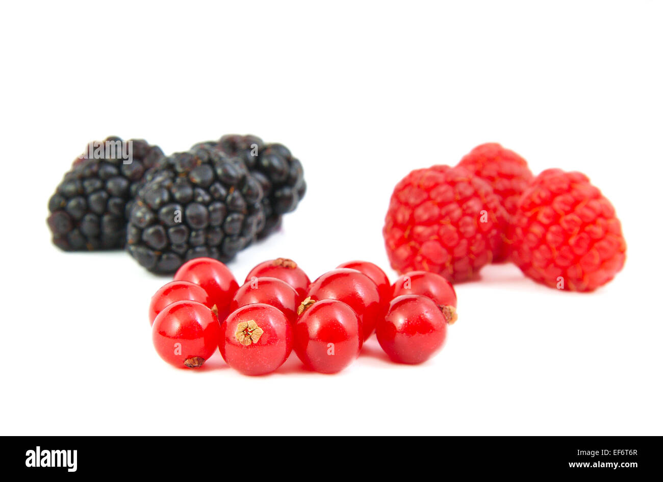Blackberries, red currants and raspberries on white background Stock ...