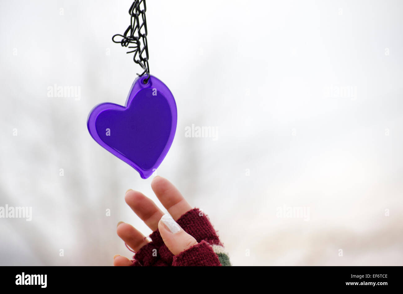 Woman hands in mittens reaching for a purple heart against a white bokeh background Stock Photo