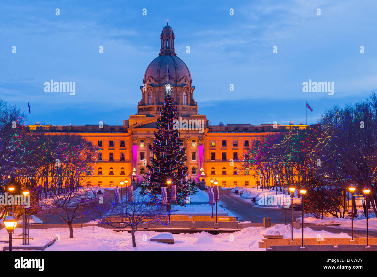 The Alberta Legislature with Christmas tree and lights display