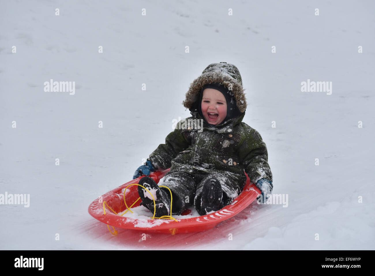 A young boy (2 1/2 yrs) laughing while sledging Stock Photo