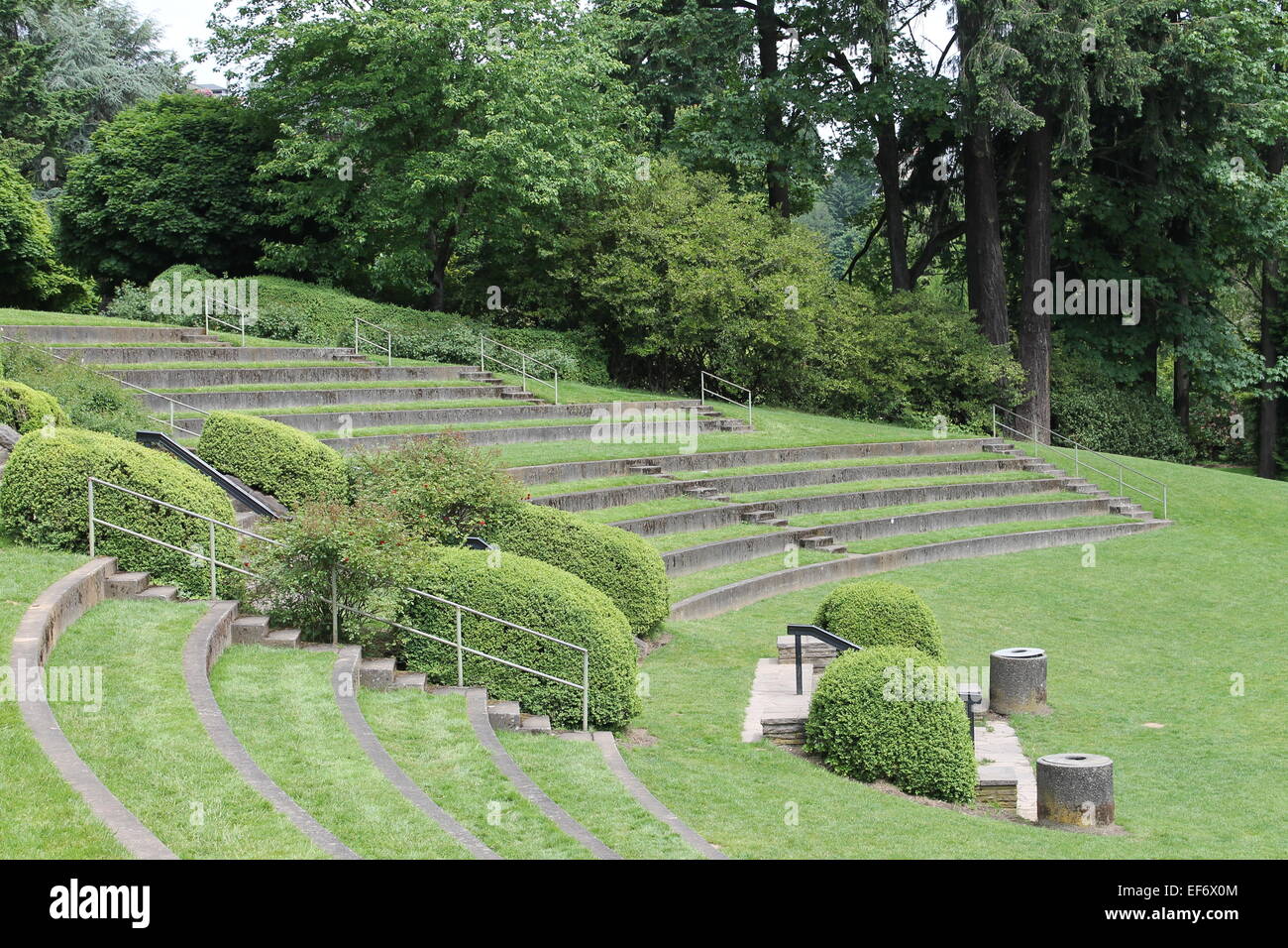 Outdoor Garden Amphitheater With Lush Grass Surrounded By Forest Stock