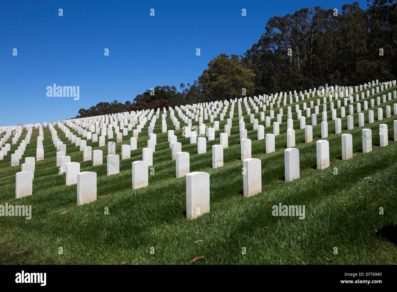 headstones, San Francisco National Cemetery, National Cemetery