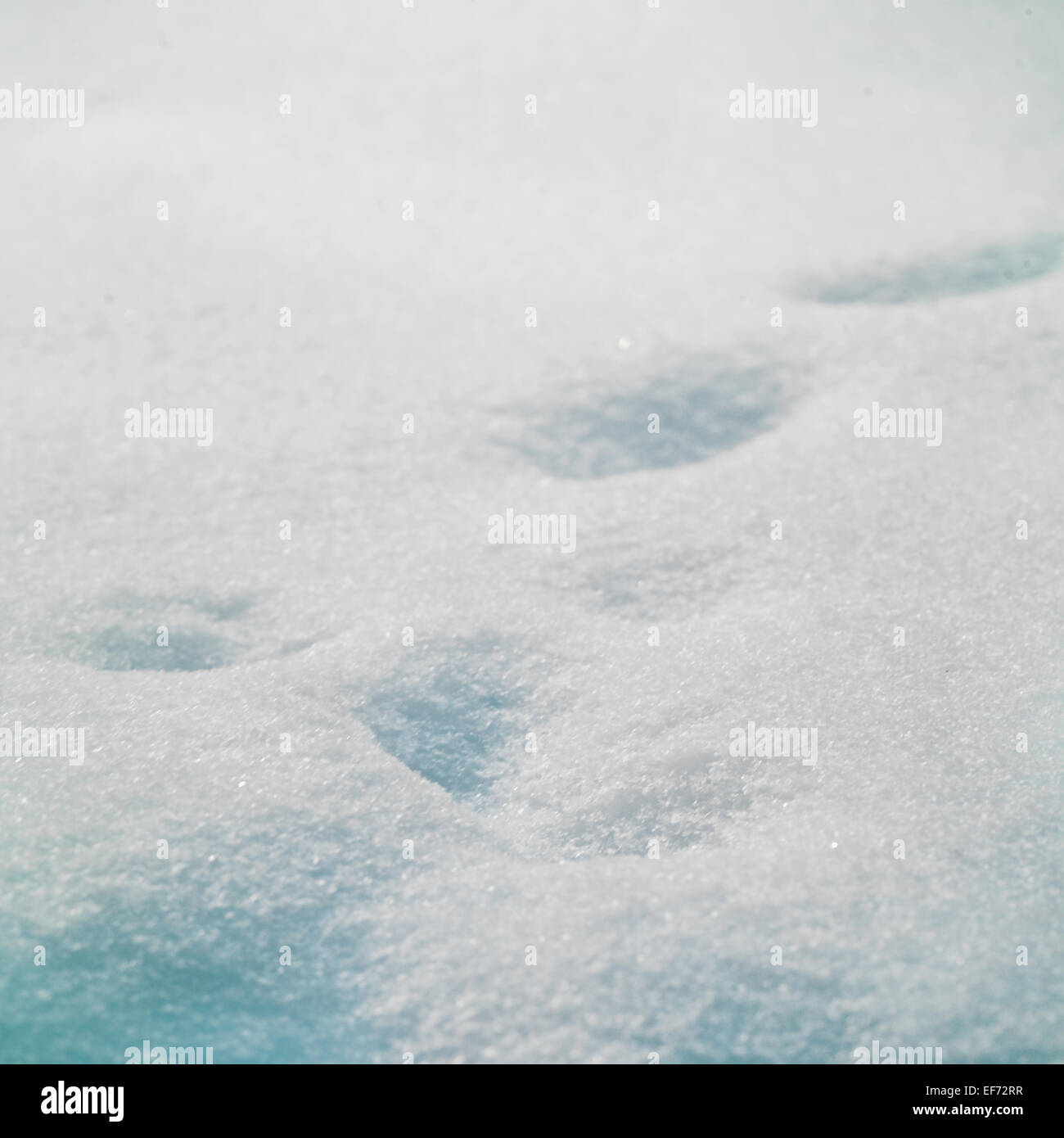 Traces on the snow Stock Photo - Alamy
