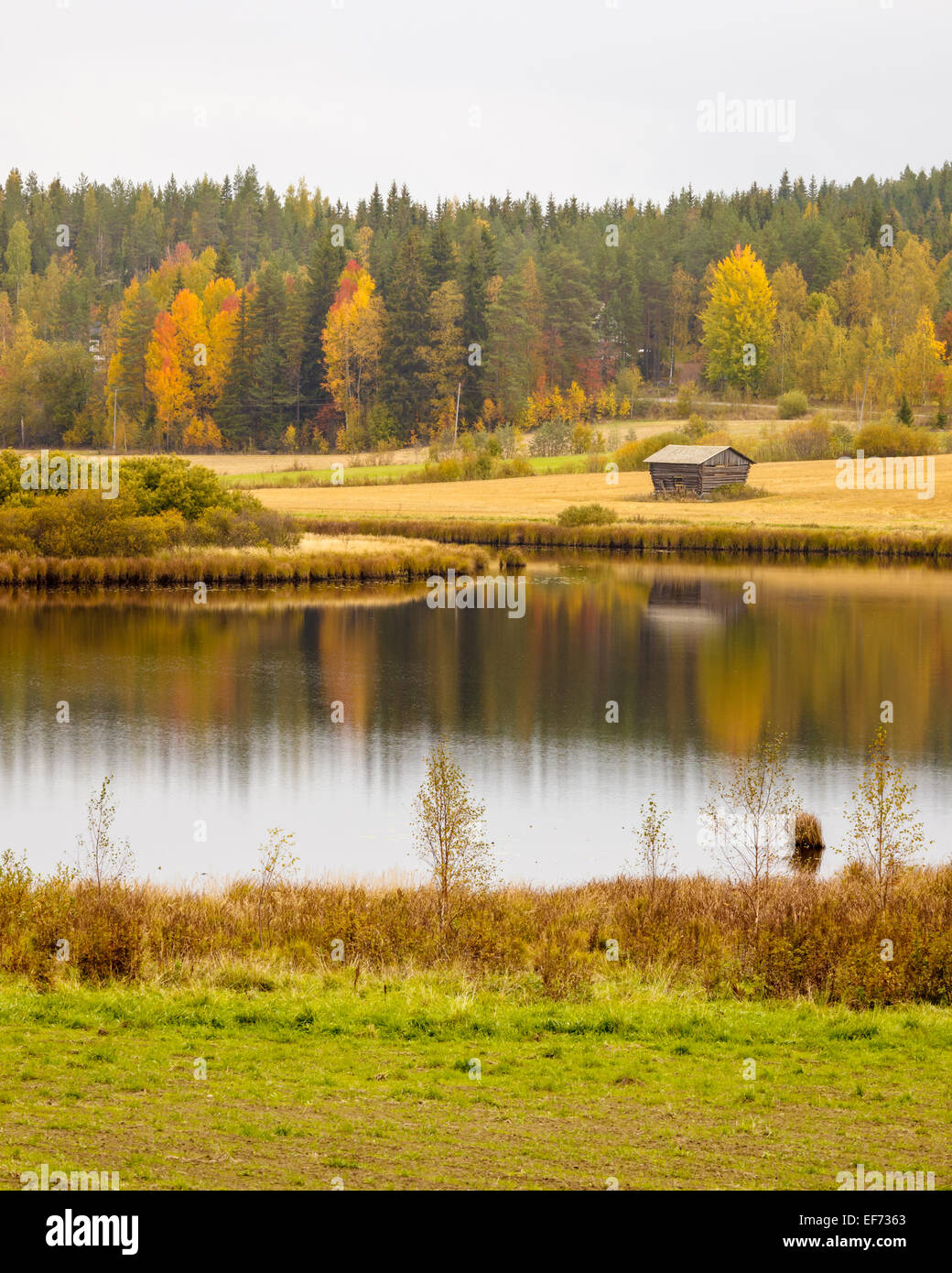 Beautiful autumn landscape Stock Photo - Alamy