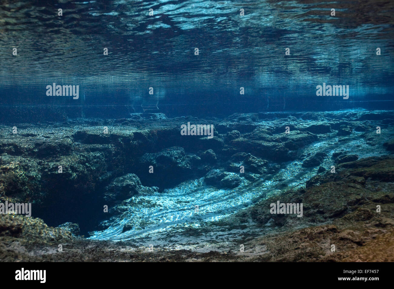 Ginnie Springs Cavern with fresh water spring in Santa Fe River