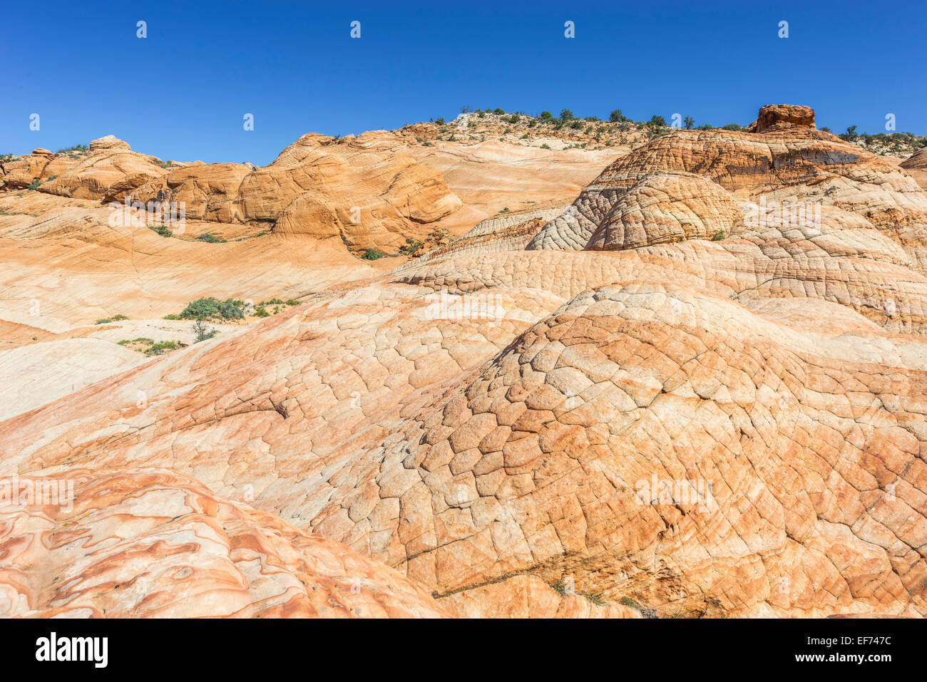 Candy Cliffs, rock formations, Washington, Utah, United States Stock Photo - Alamy