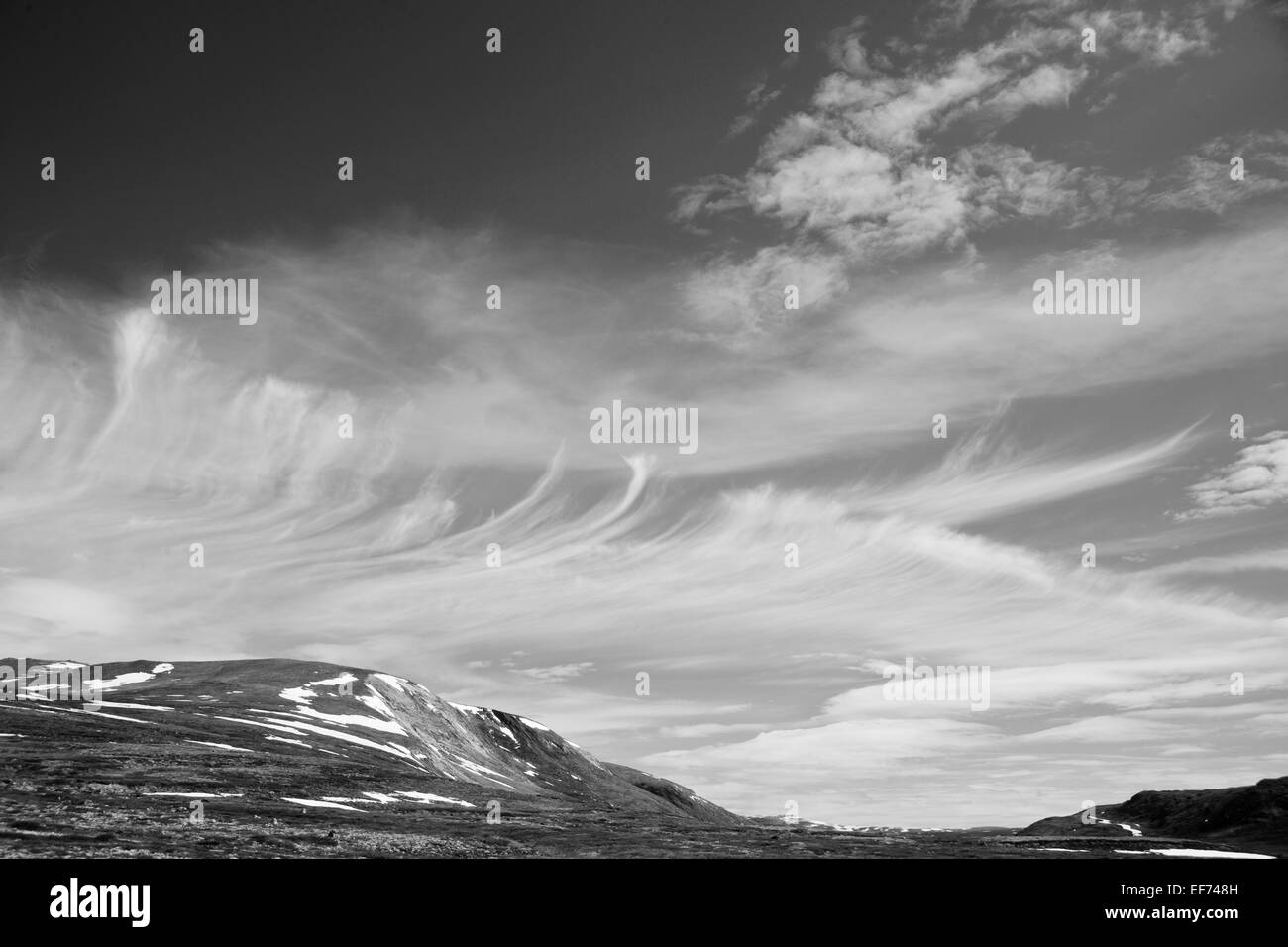 Cirrus black and white Black and White Stock Photos & Images - Alamy