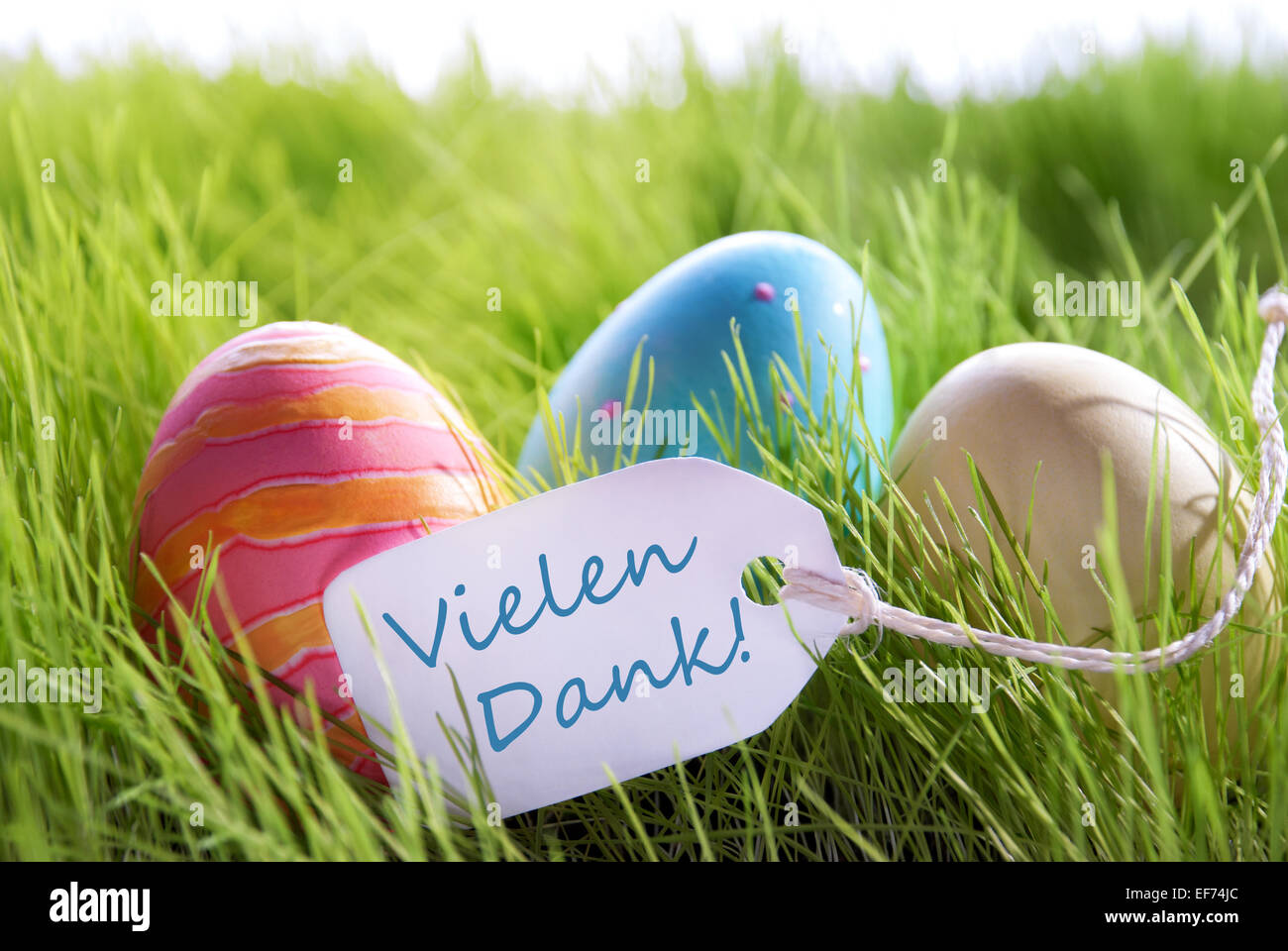 Colorful Easter Background With Three Easter Eggs And Label With German Text Vielen Dank On Green Grass For Happy Easter Seasons Stock Photo