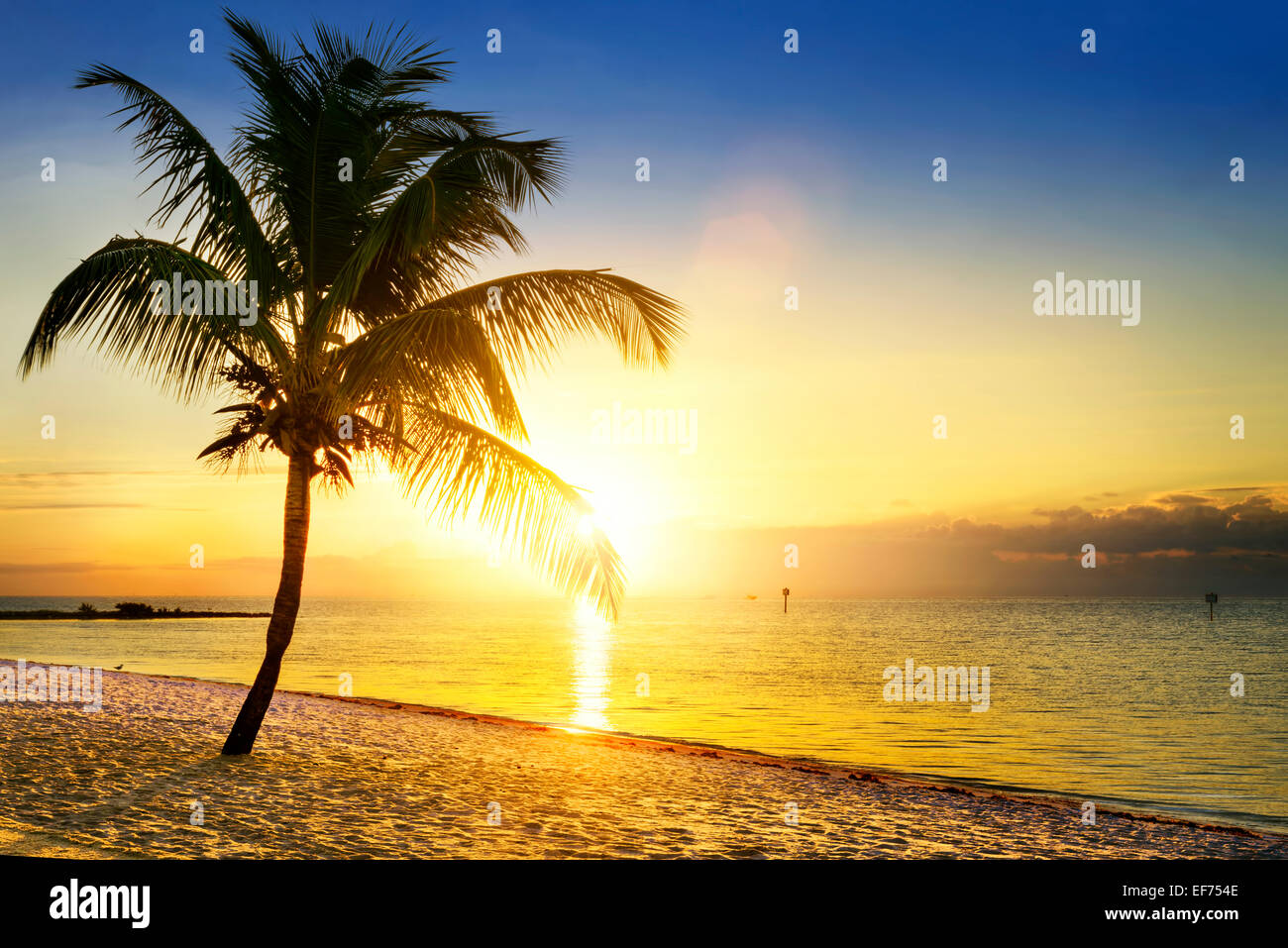 Beautiful sunrise at Key West, Florida, USA Stock Photo