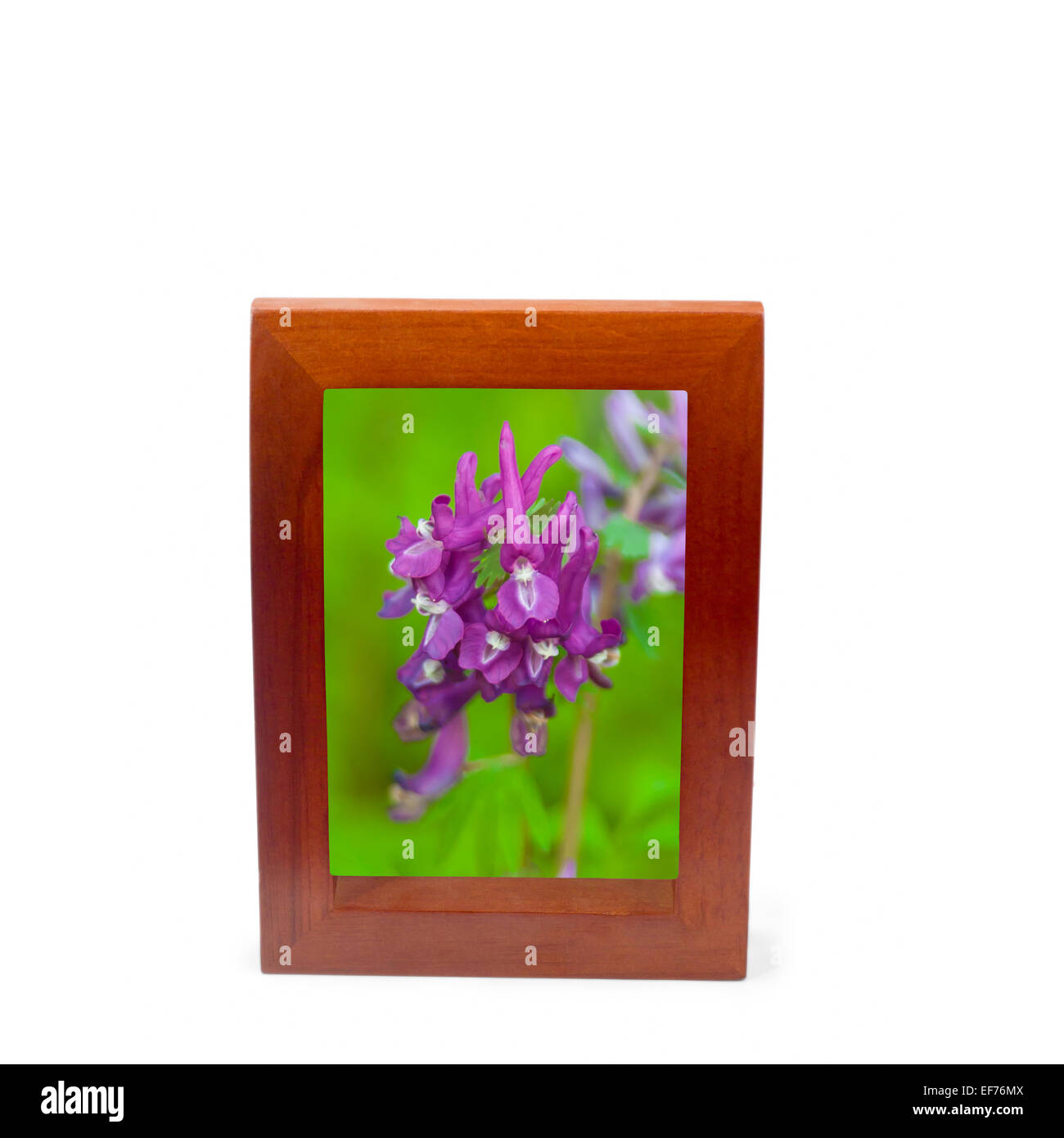 Brown Wooden Frame Isolated Stock Photo Alamy