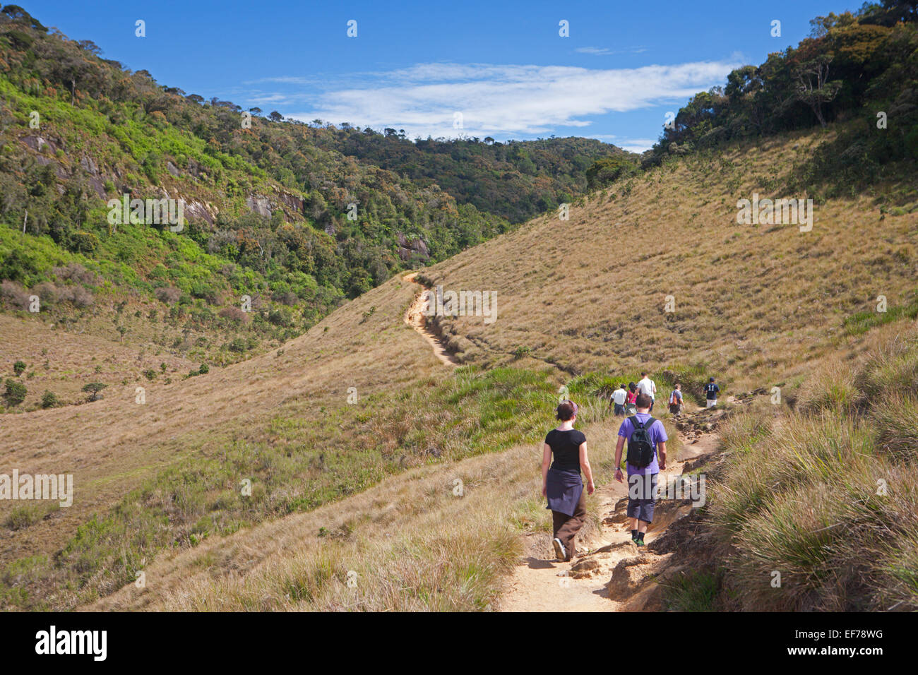 World S End In Horton Plains National Park Stock Photo Alamy