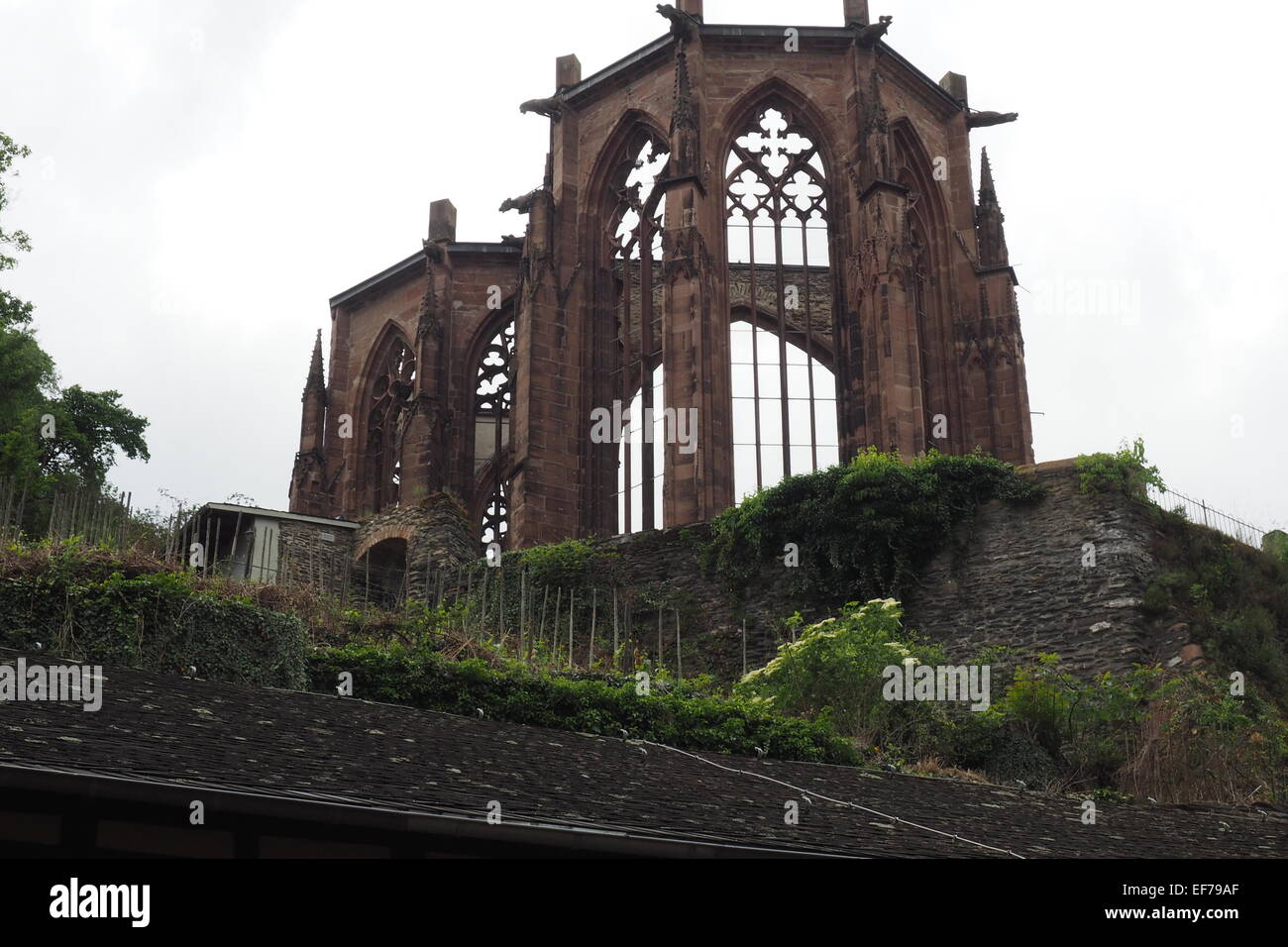 Ruin of the Gothic Wernerkapelle, Bacharach. Stock Photo