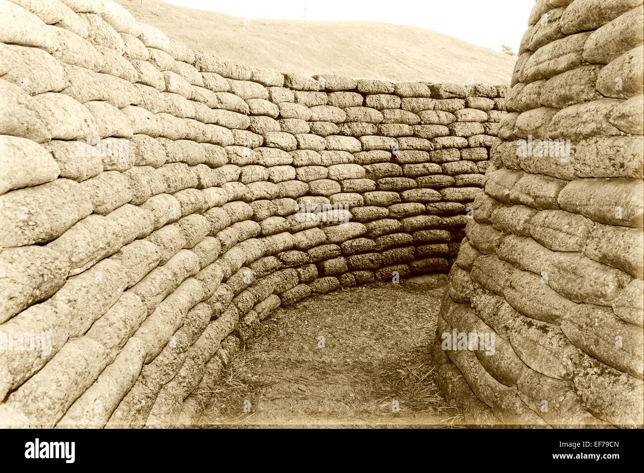 The trenches on battlefield of Vimy world war one France Stock Photo