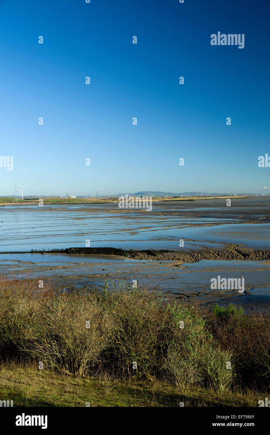 Severn estuary birds hi-res stock photography and images - Alamy