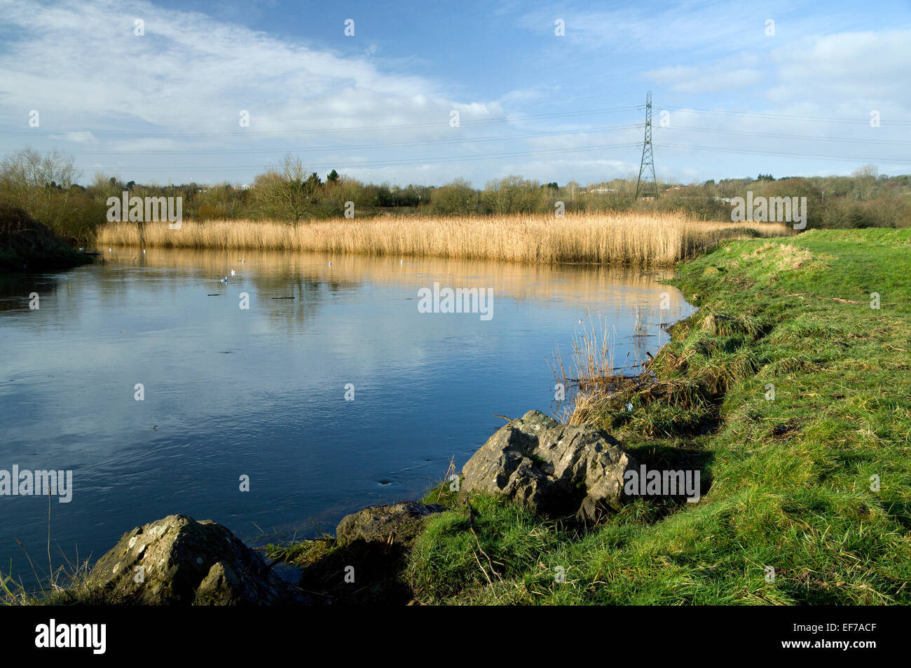 Rumney High Resolution Stock Photography and Images Alamy