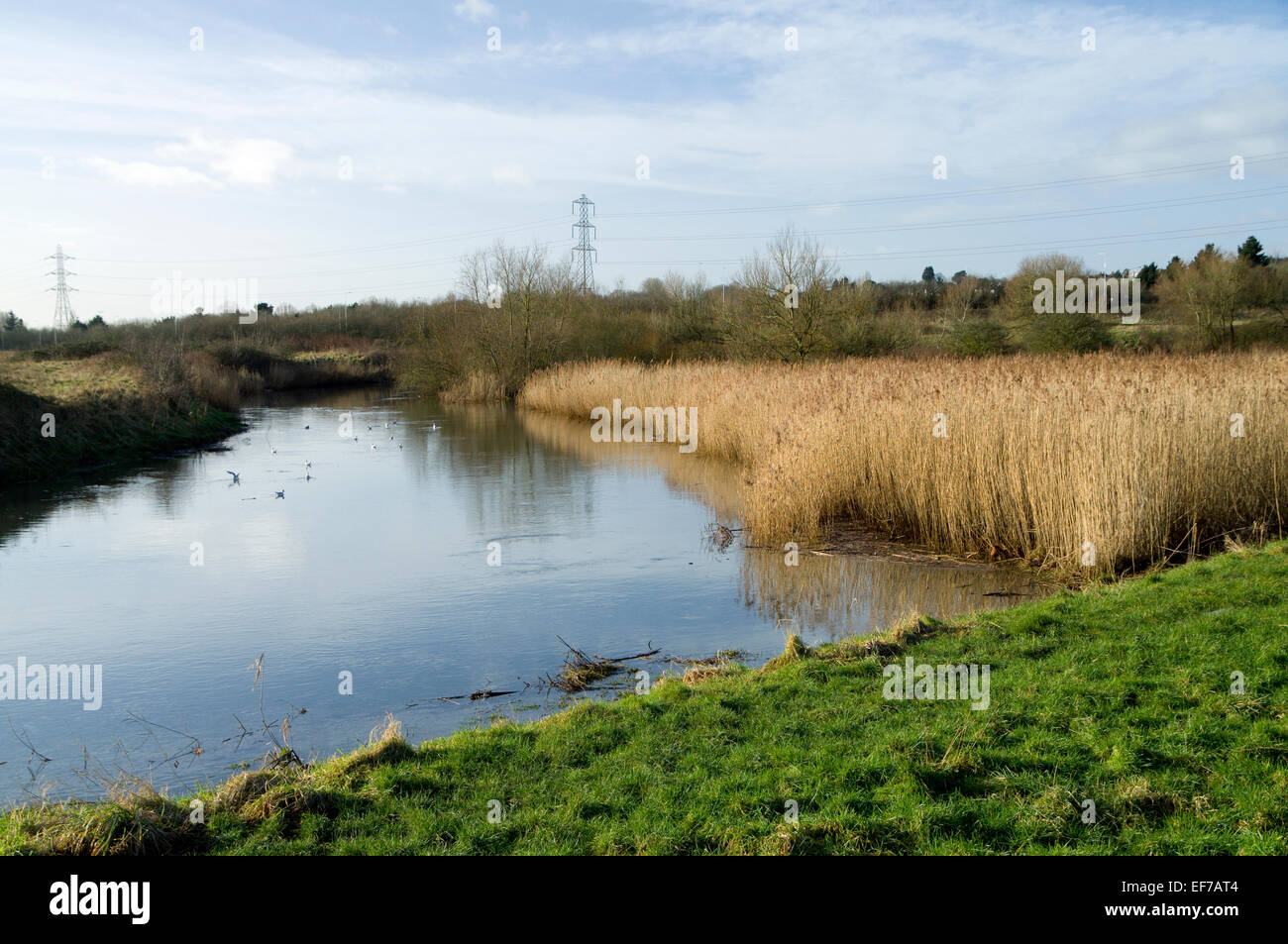 River rhymney trail valley cardiff rumney wales hires stock