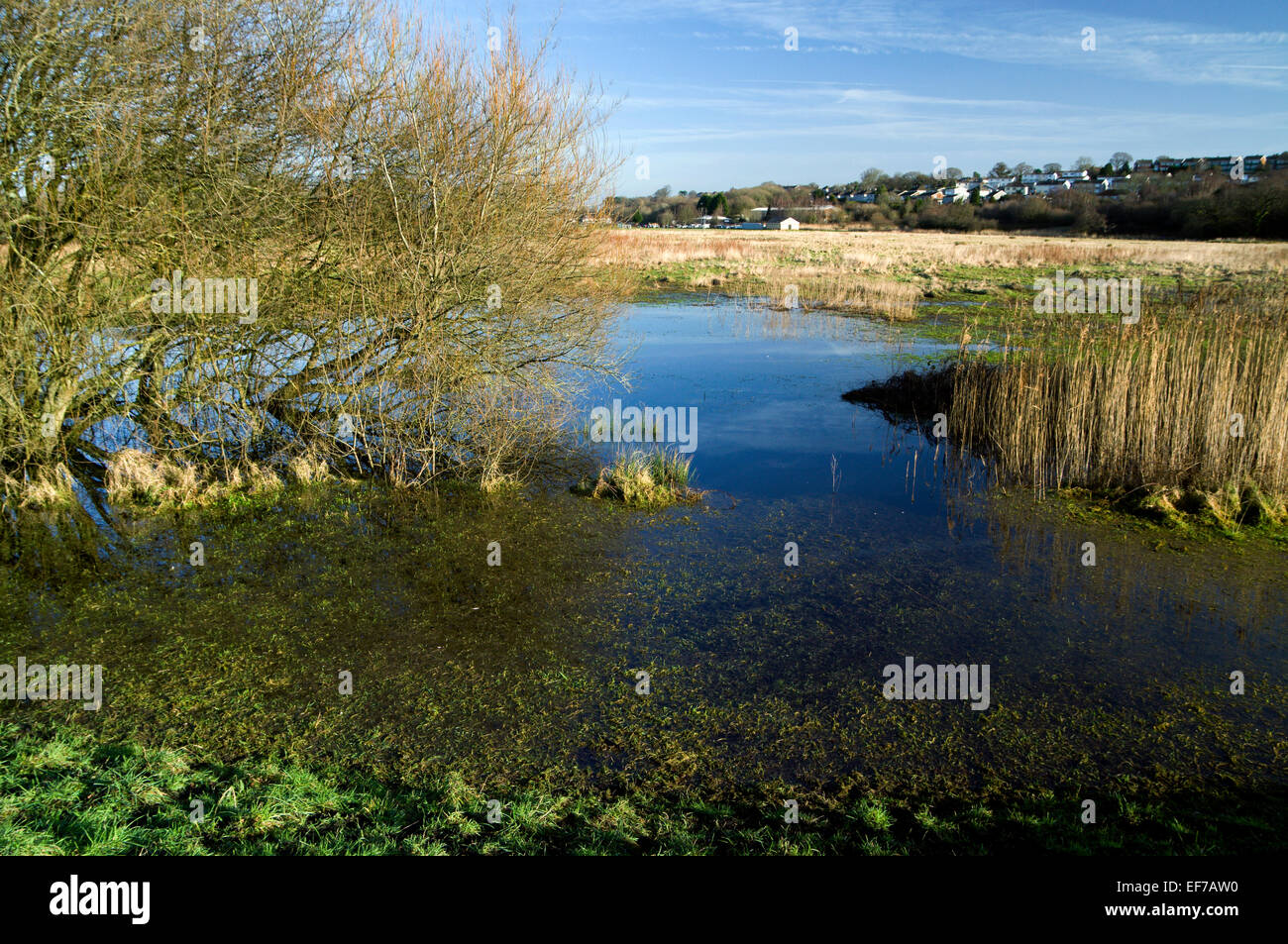 Rumney hires stock photography and images Alamy