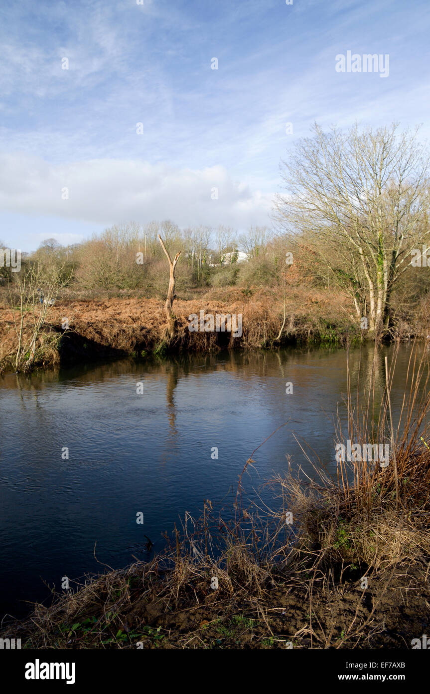 Rumney High Resolution Stock Photography and Images Alamy