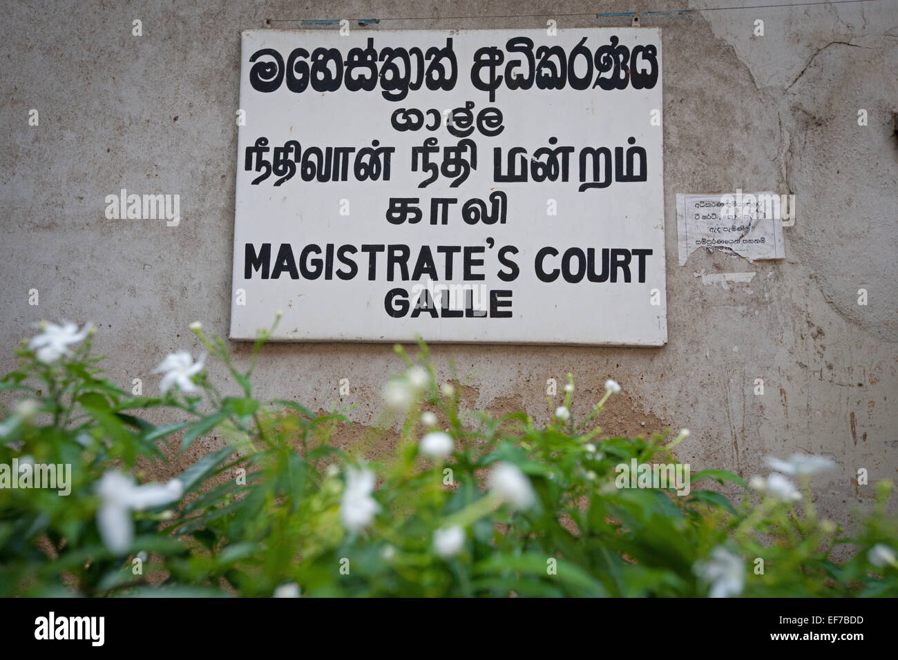 MAGISTRATE'S COURT GALLE Stock Photo