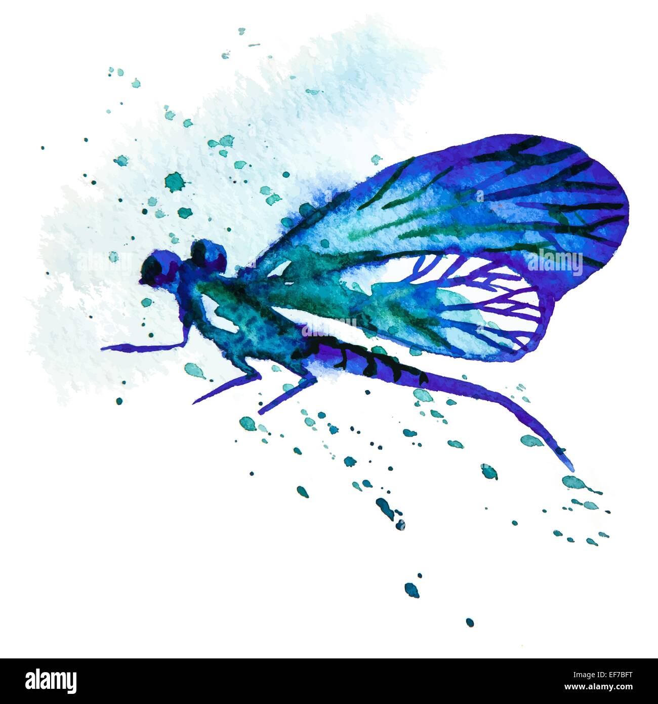 Vector greeting background with beautiful watercolor flying blue dragonfly Stock Vector