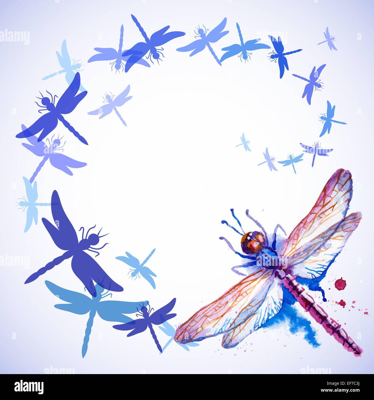 Vector greeting background with beautiful watercolor flying violet and blue dragonflies Stock Vector