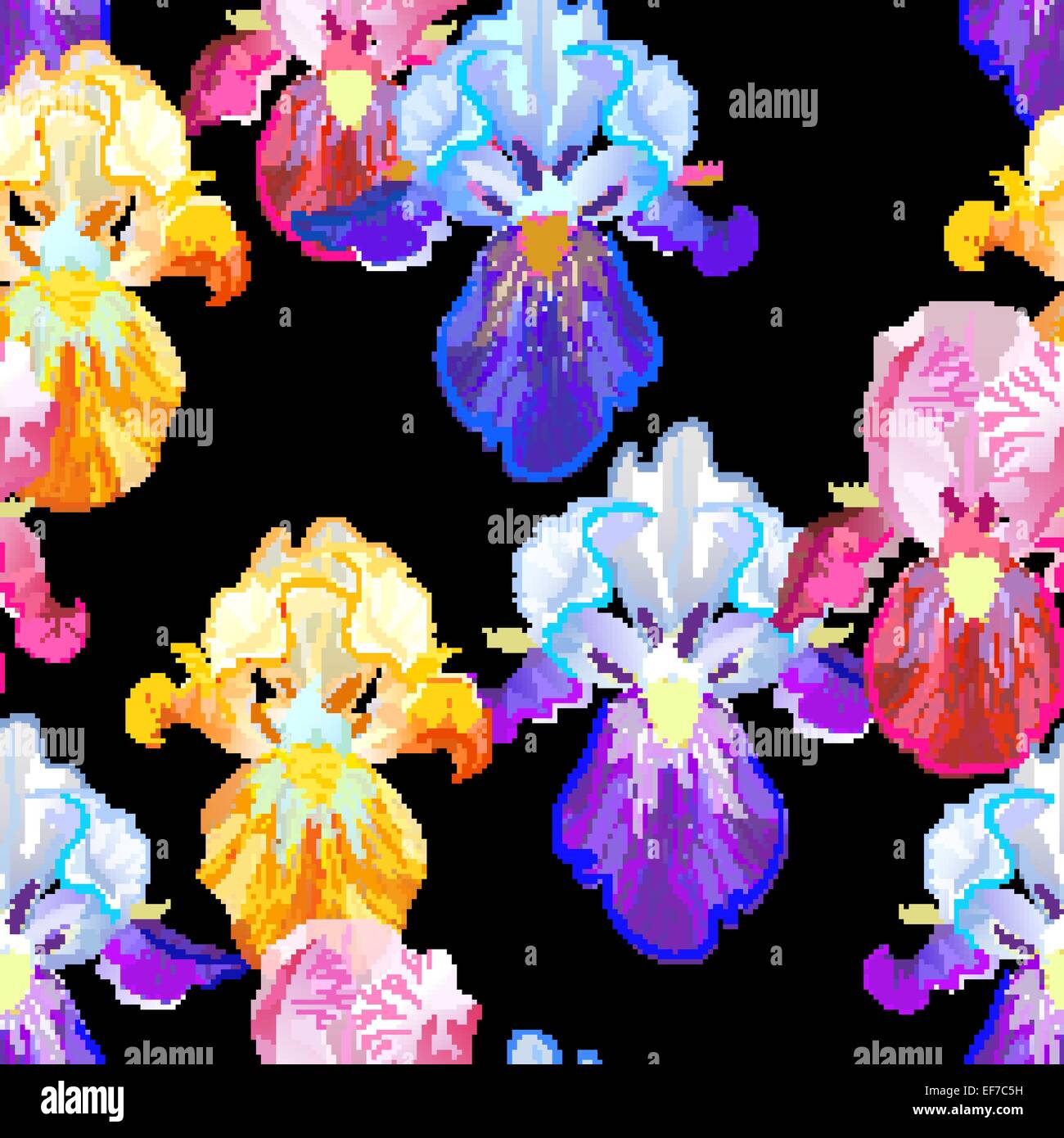 Vector seamless pattern with violet,orange and vinous Iris flowers on the black background Stock Vector