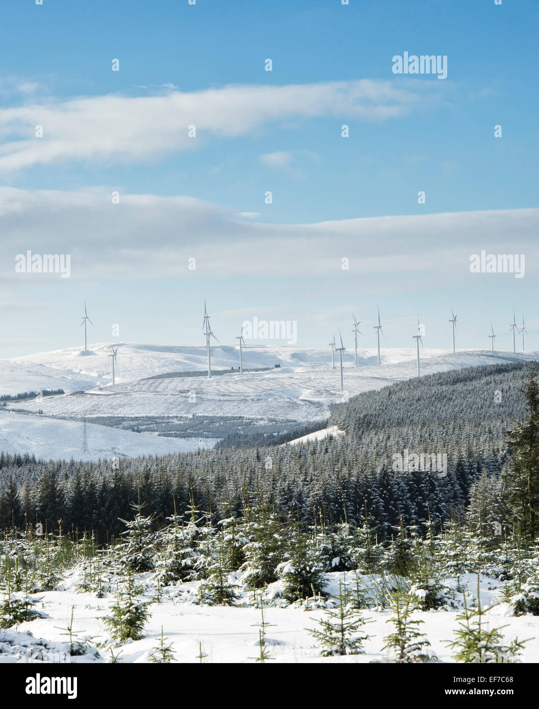 Clyde Wind Farm in the winter snow. Scottish Borders. Scotland. Stock Photo