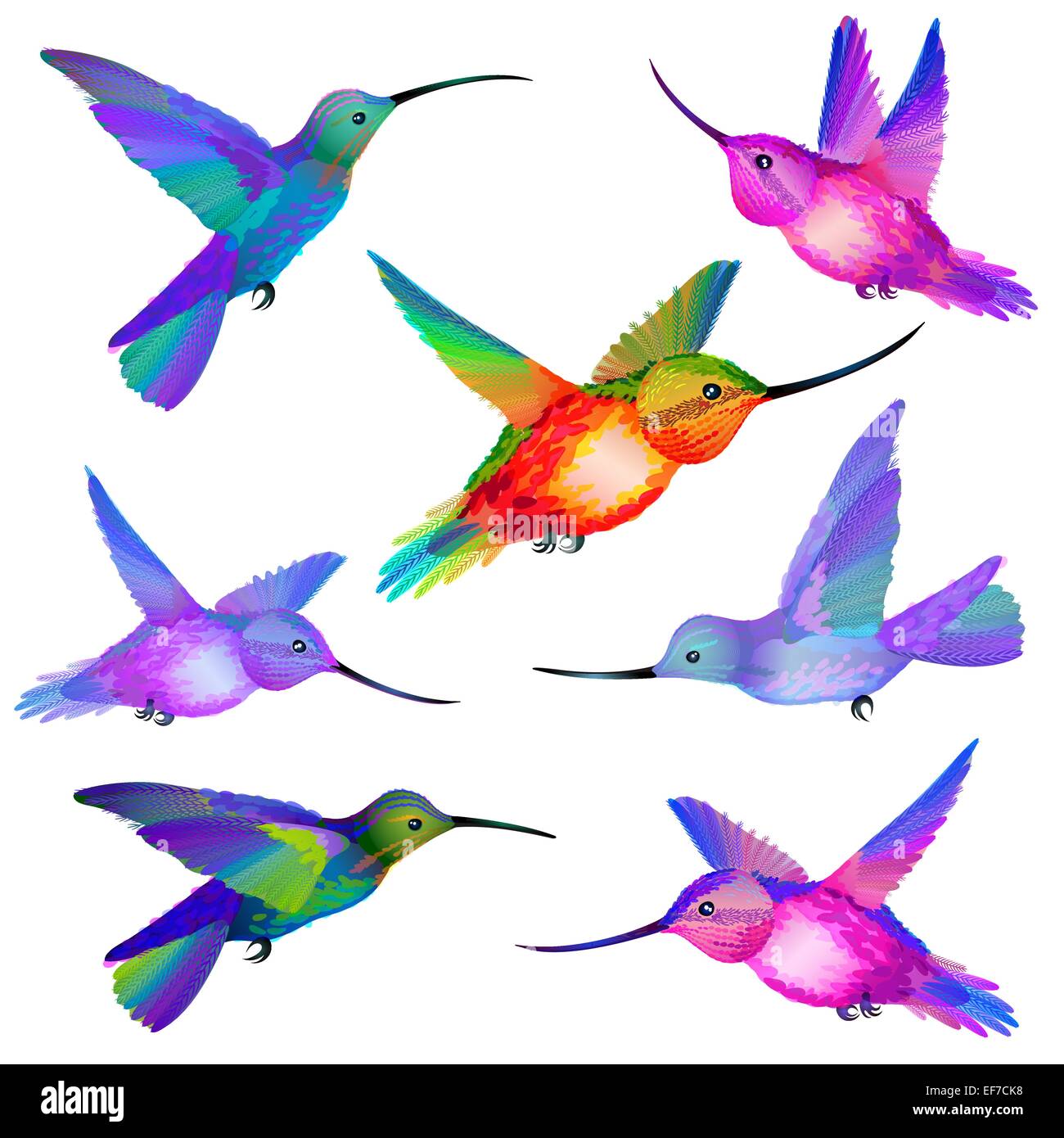 Vector Set of isolated flying Humming birds in green, violet, orange, pink and blue colors Stock Vector