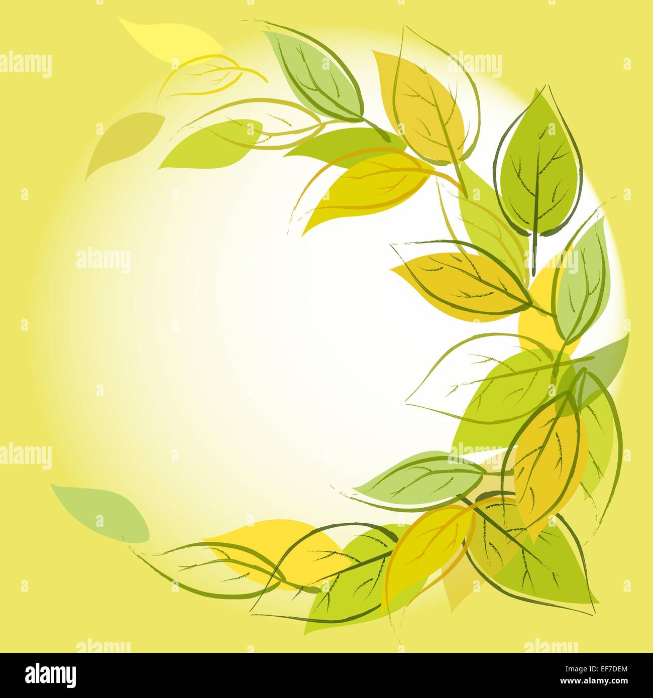 Vector green square background with leaves circle Stock Vector