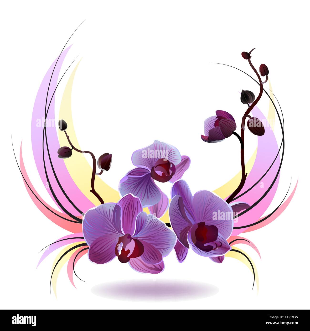 Vector greeting card with violet gentle orchid bouquet on the white background Stock Vector