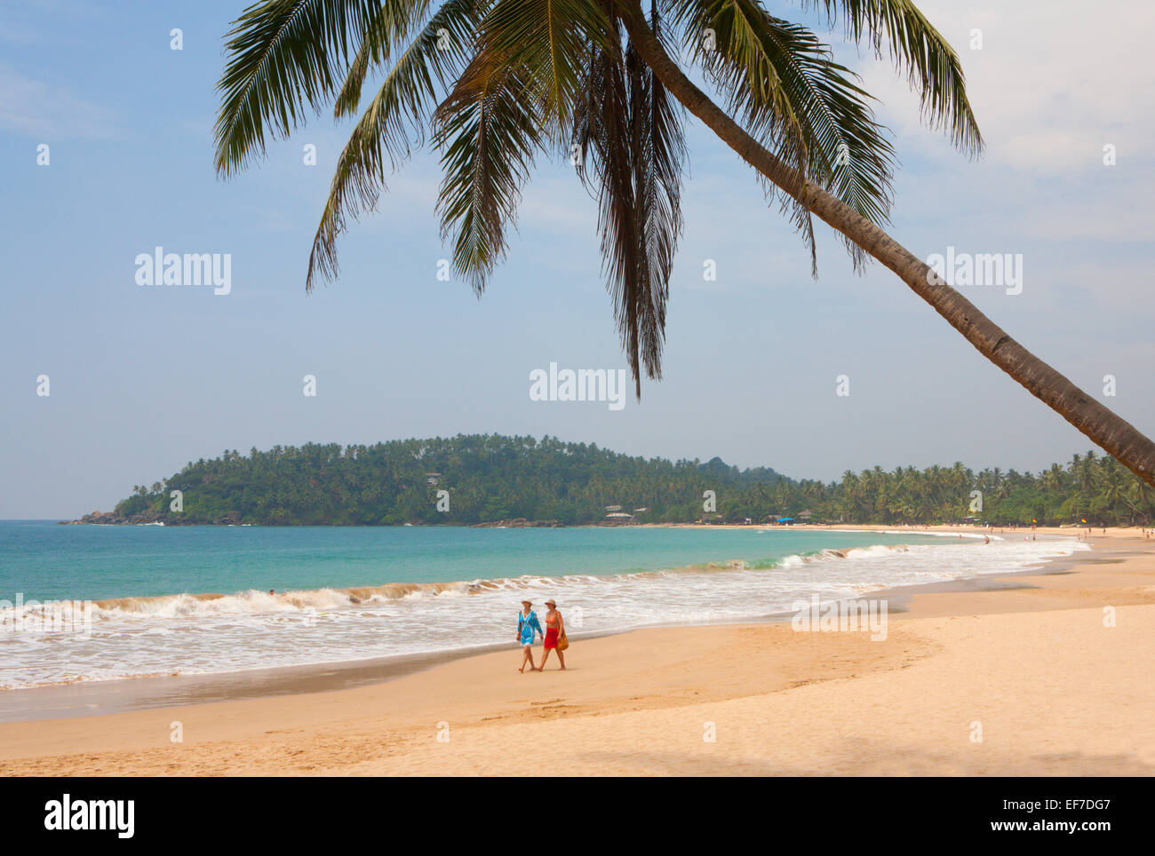 TOURISTS WALKING ALONG SANDY BEACH WITH PALM TREE Stock Photo